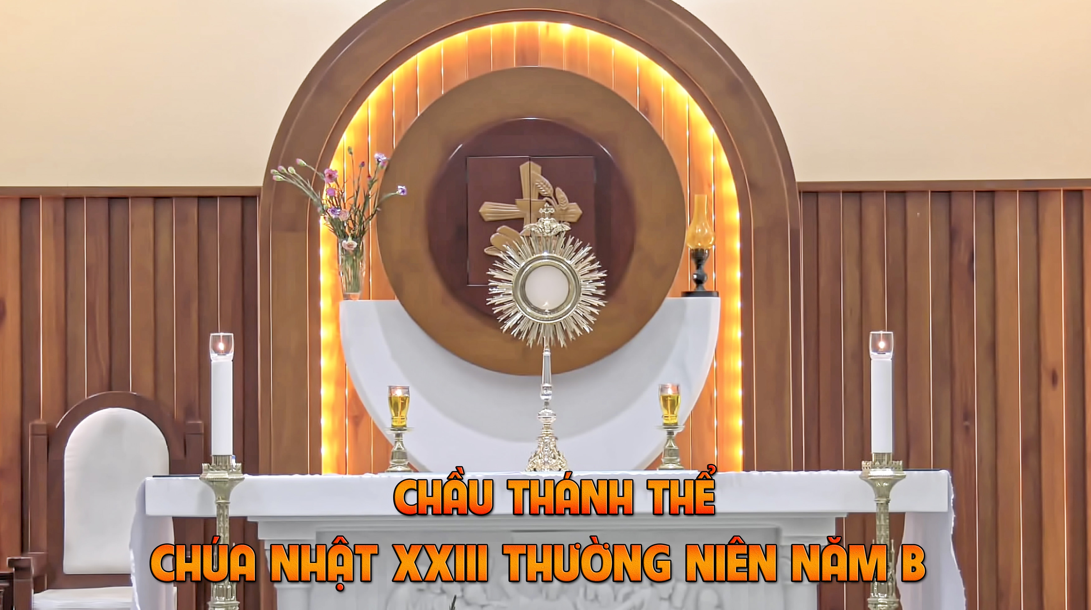 Chầu Thánh Thể - Chúa Nhật XXIII Thường Niên Năm B